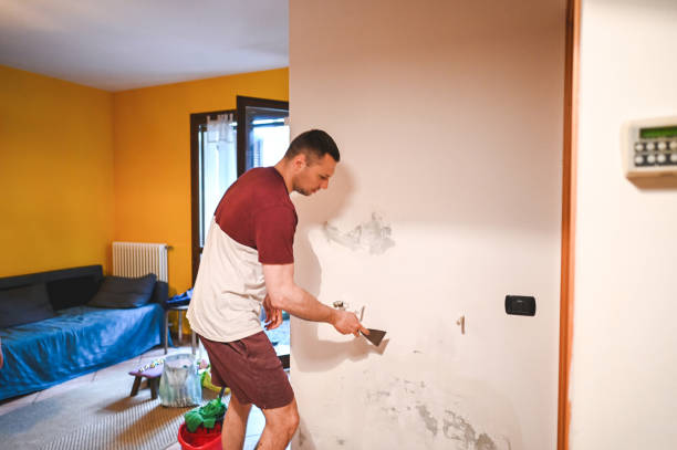 Best Residential Mold Removal  in Bennett, CO